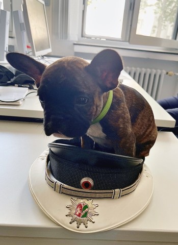 In Bochum wurde Polizisten dank Hund „Pablo“ ganz warm ums Herz!