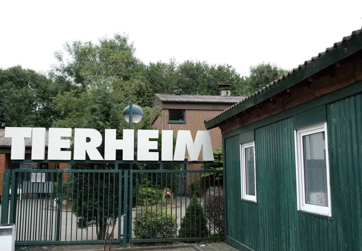Tierheim_Bochum