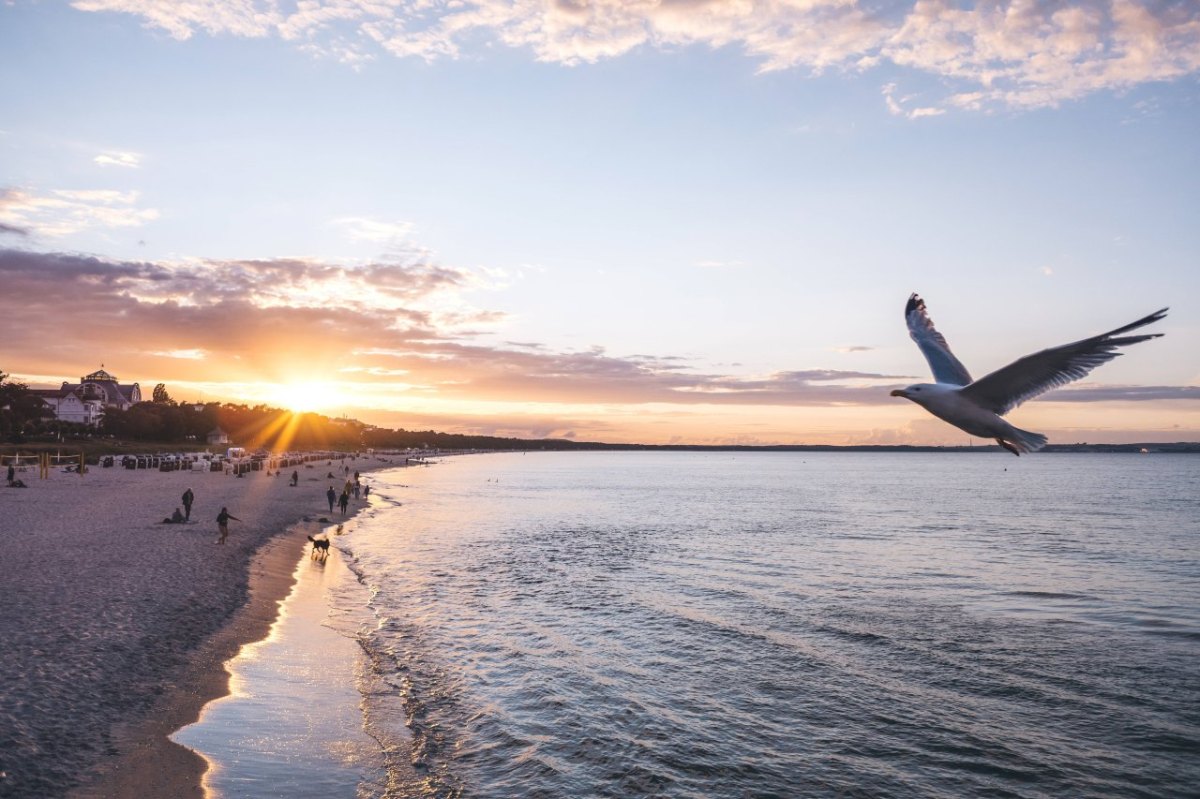 Urlaub-Ostsee-Rügen