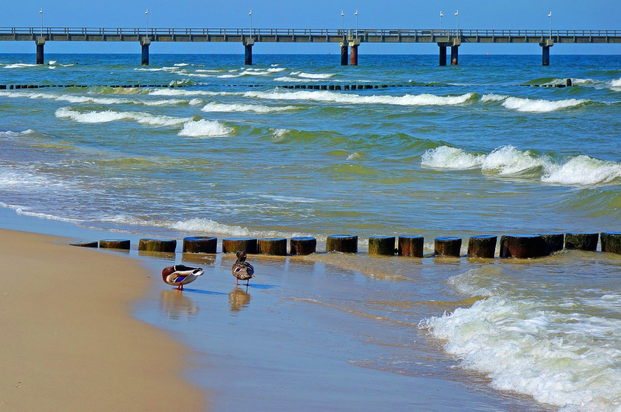 Urlaub an der Ostsee: Ferienhaus-Betreiber warnen vor Buchungsplattformen (Symbolfoto).