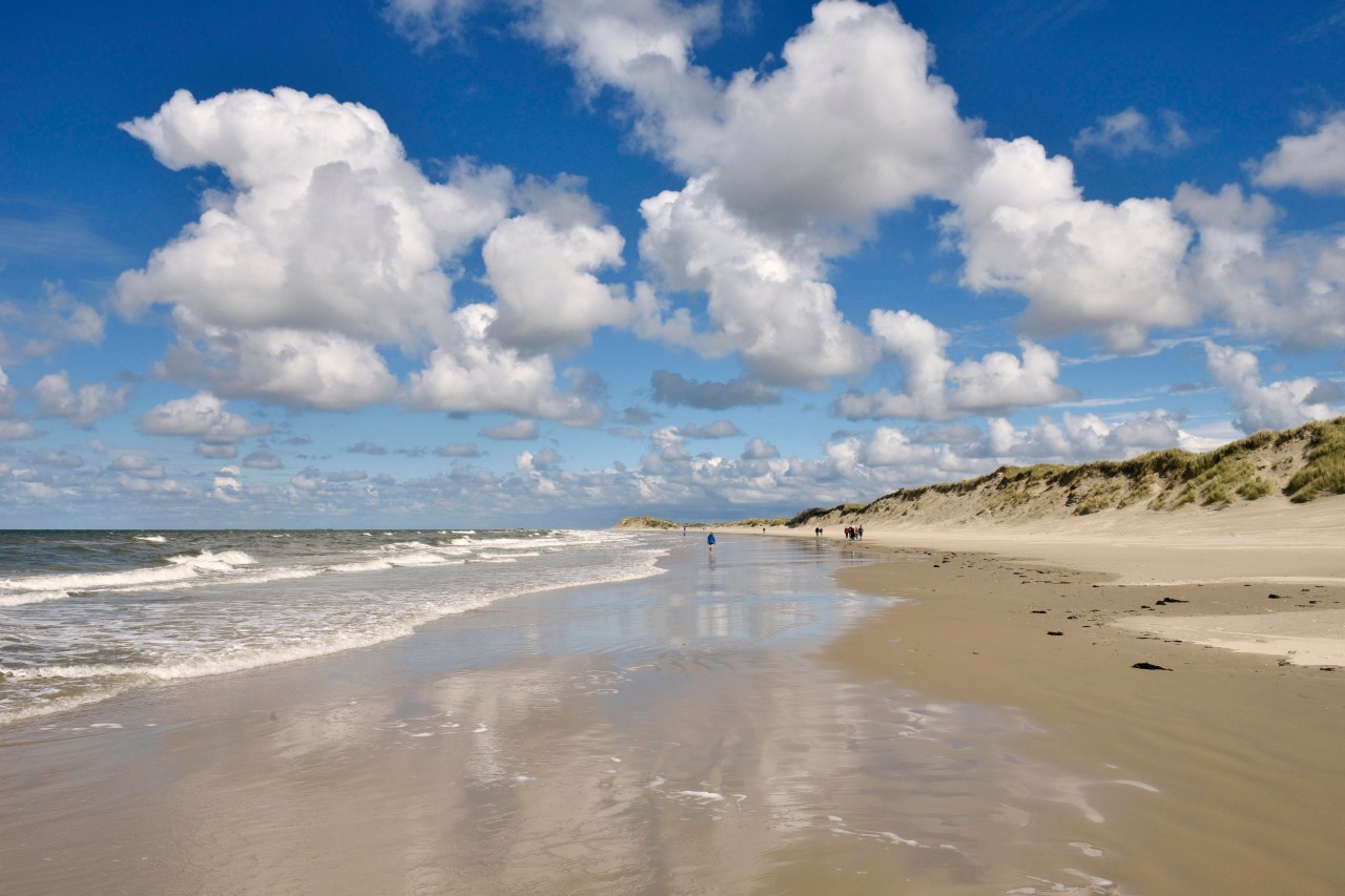 An den Stränden der Nordsee lauert eine unscheinbare Gefahr, die Urlauber keinesfalls unterschätzen sollten. (Symbolbild)