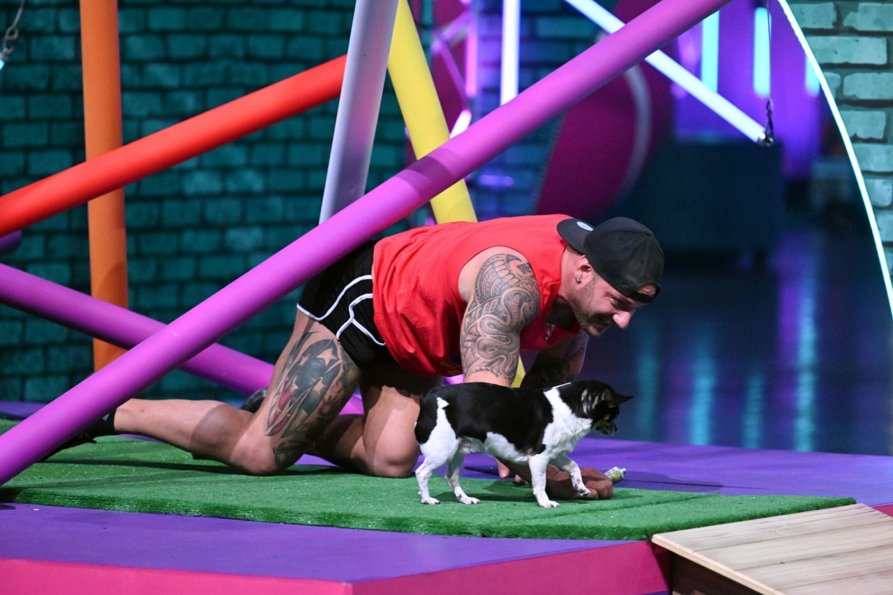 Steven Hofmann und sein Chihuahua „Coco“ kämpfen sich durch den „Top Dog Germany“-Parcours.