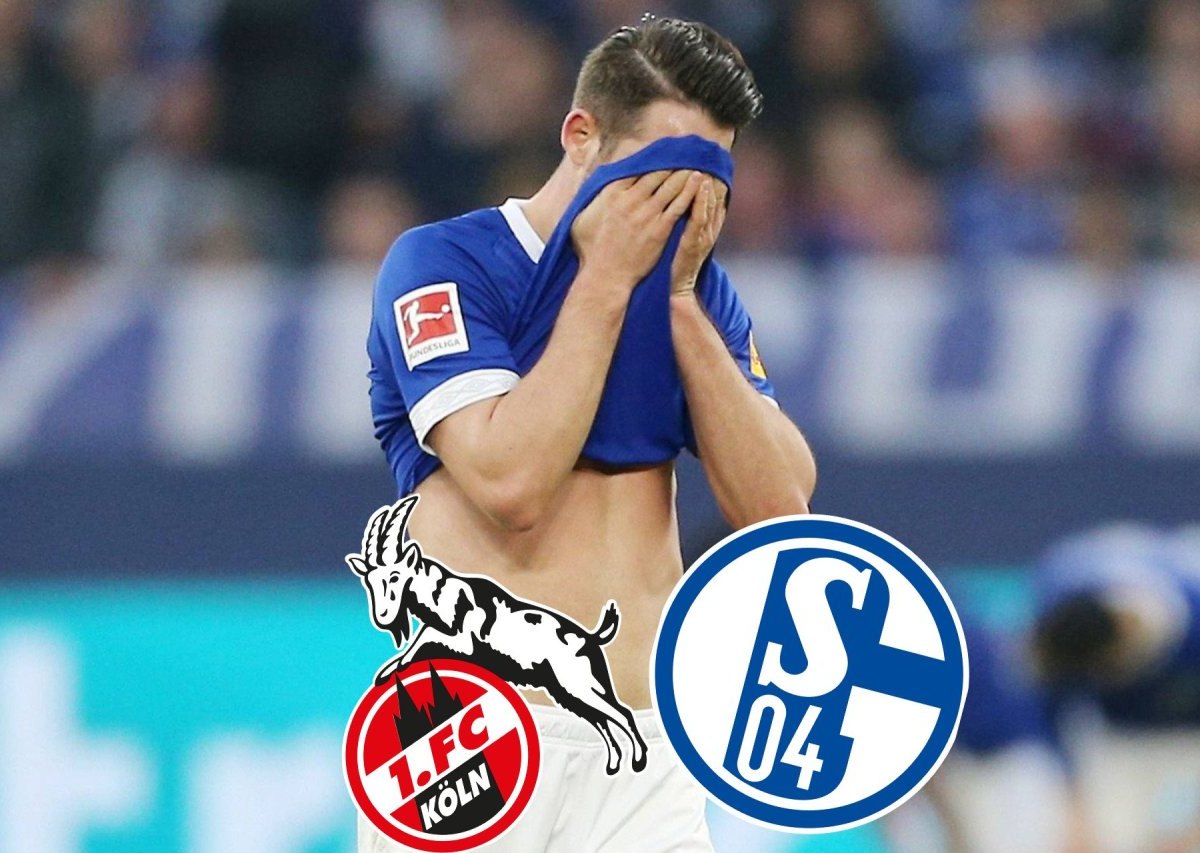 1. FC Köln Schalke 04.jpg