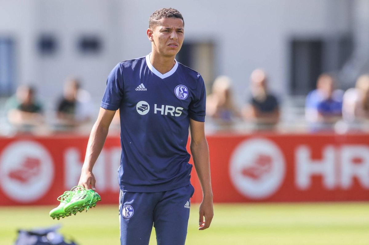 Amine Harit