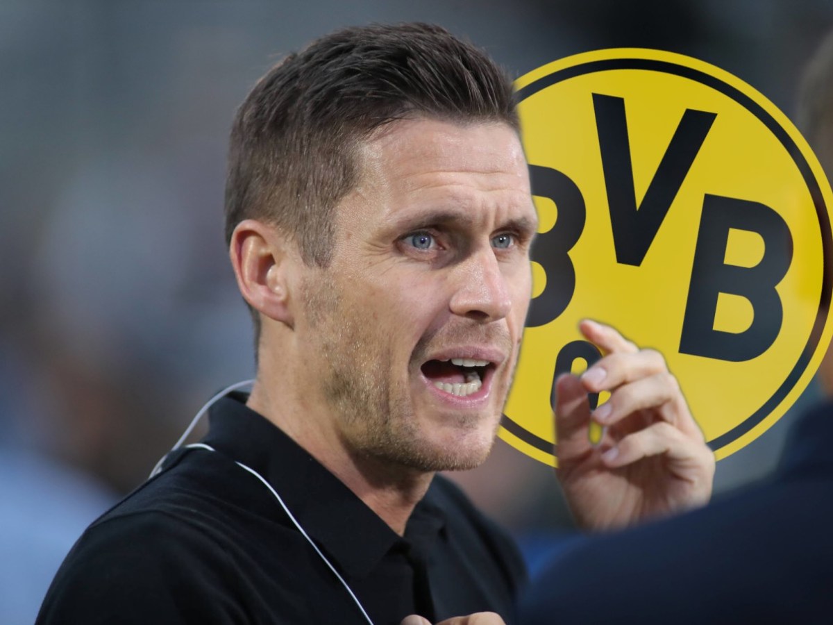 Borussia Dortmund: Sebastian Kehl hat ein Anliegen., Sebastian Kehl mit Anthony Modeste.