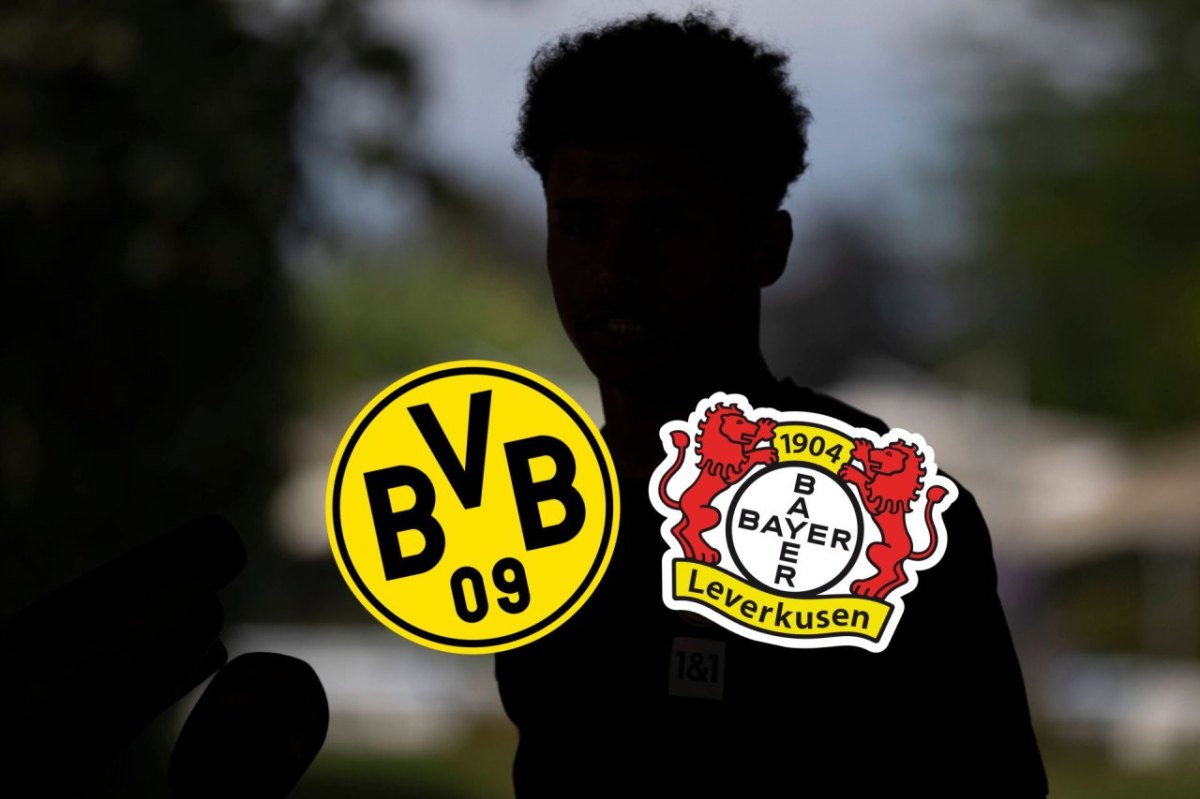 BVB Leverkusen Adeyemi.jpg