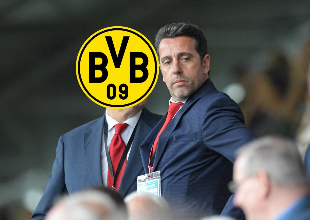 Borussia Dortmund Edu.jpg