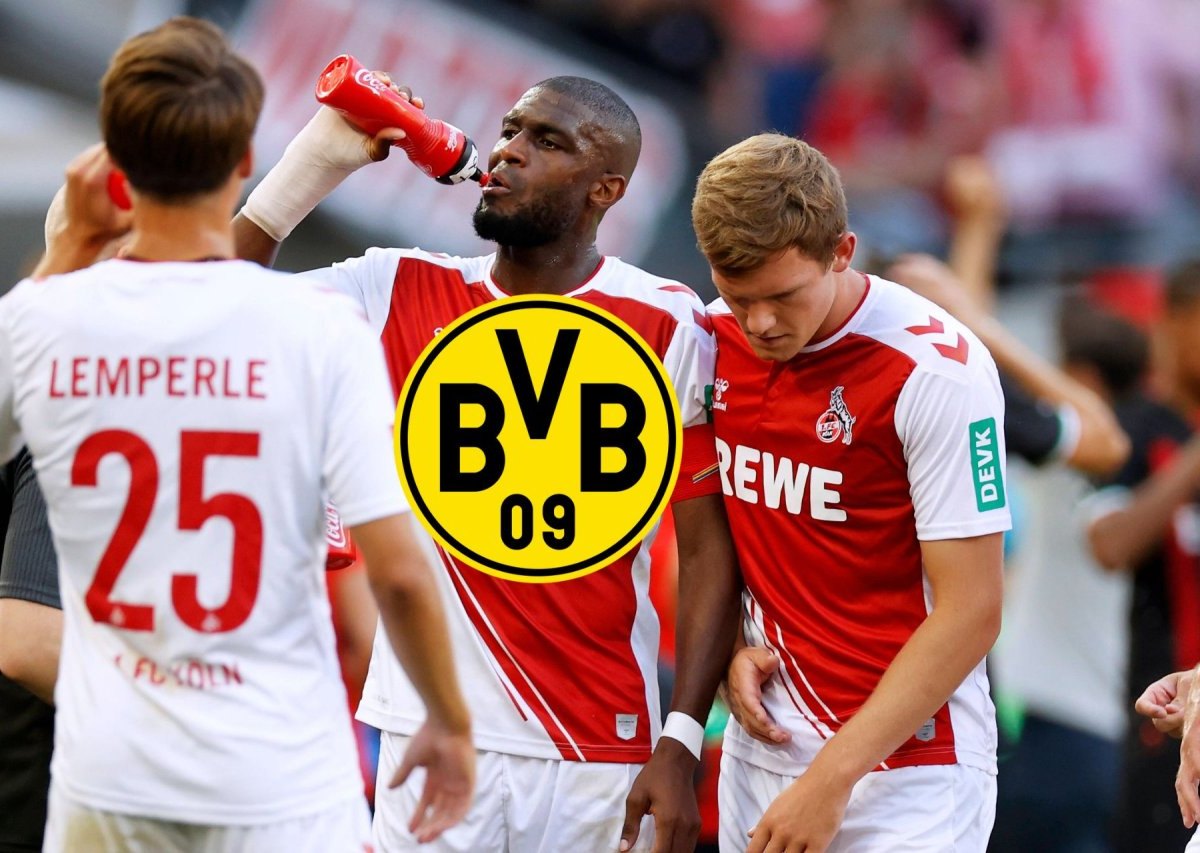 Borussia Dortmund Modeste (1).jpg