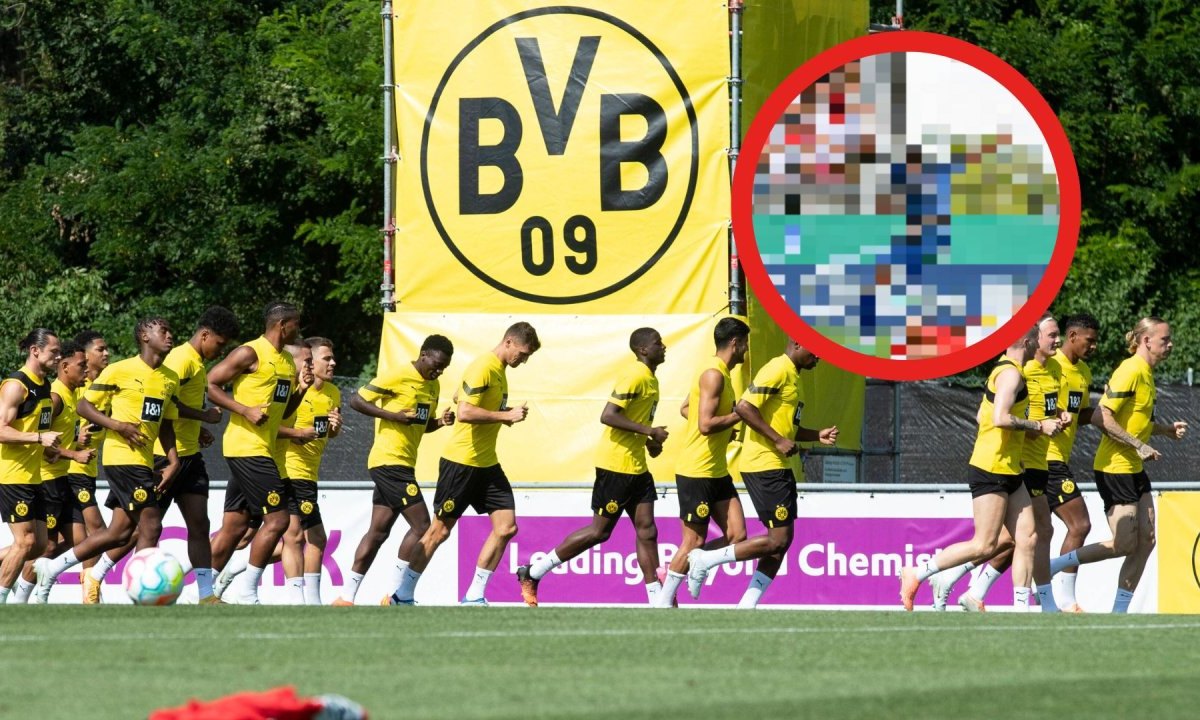 Borussia Dortmund Modeste.jpg