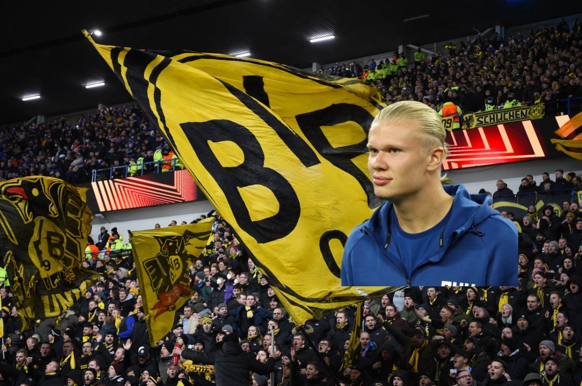 Erling Haaland bvb.jpg