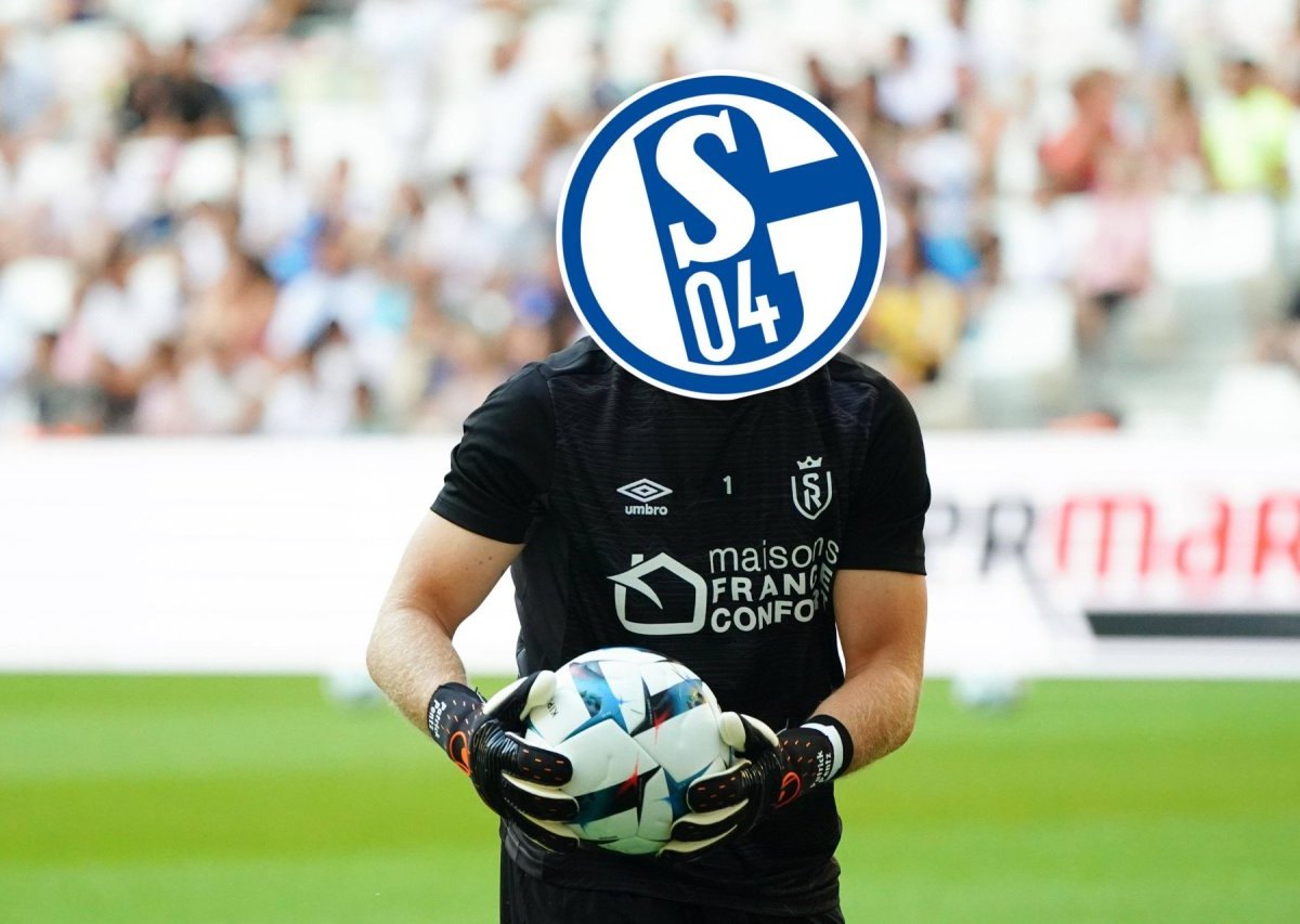 Schalke Pentz.jpg