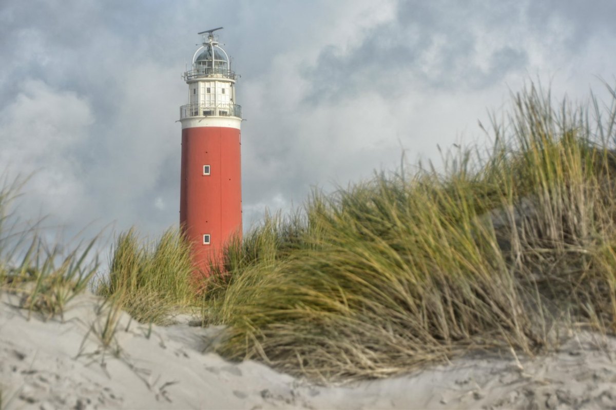 Texel-Insel-Niederlande.jpg