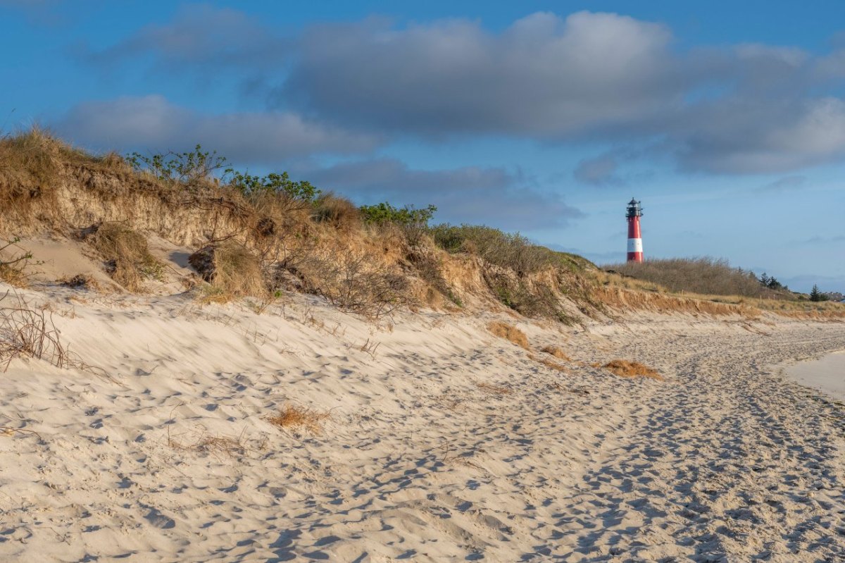 Urlaub an der Nordsee.jpg