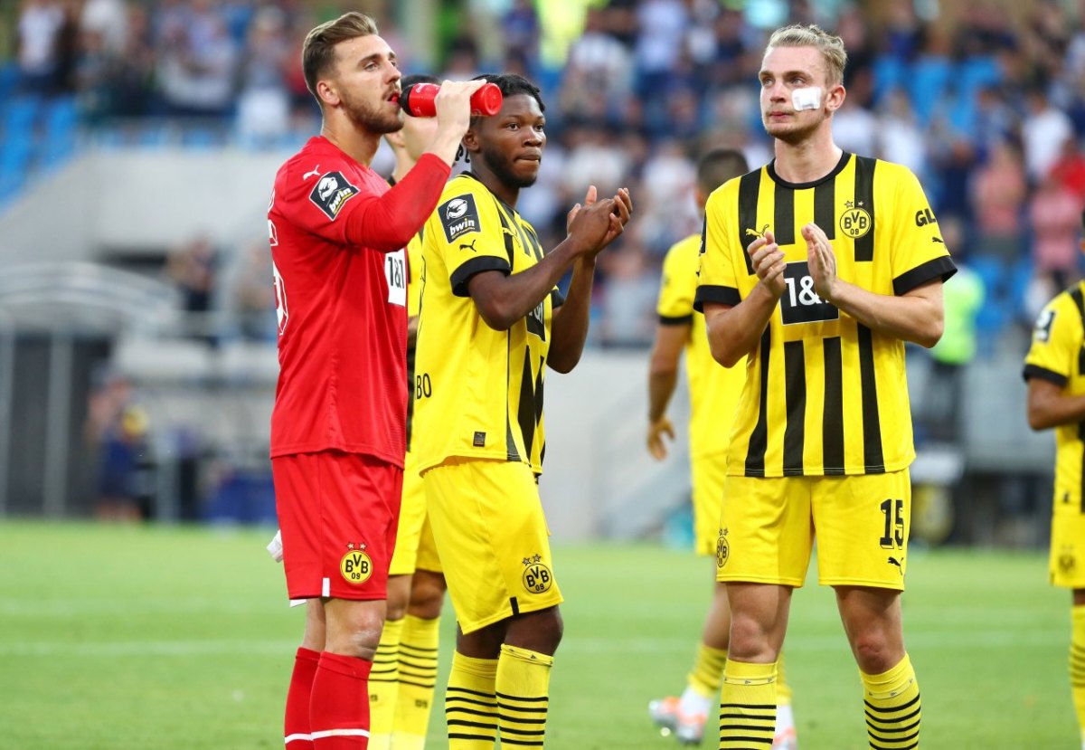 bvb-borussia-dortmund-bradley-fink