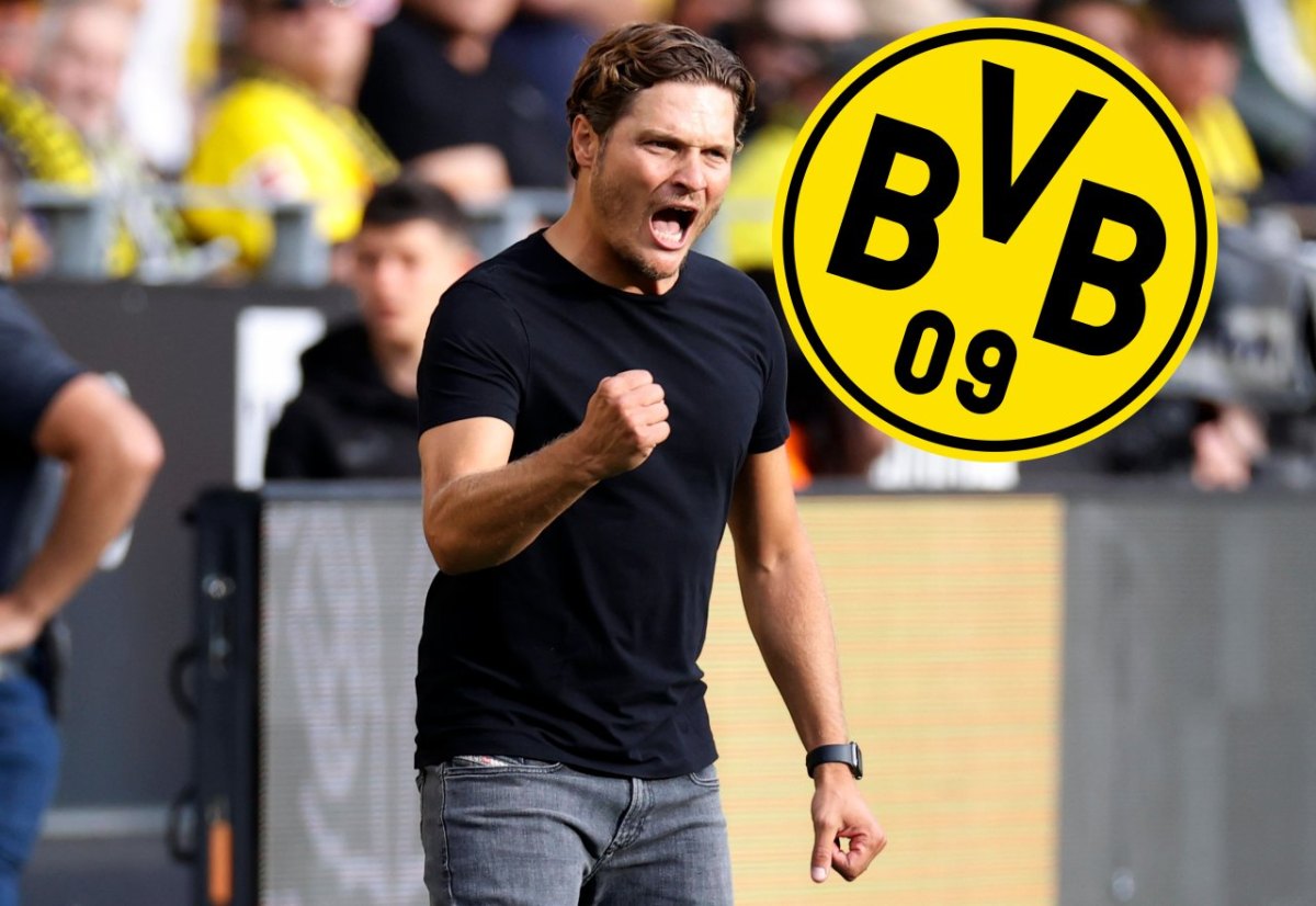 bvb-borussia-dortmund-werder-bremen