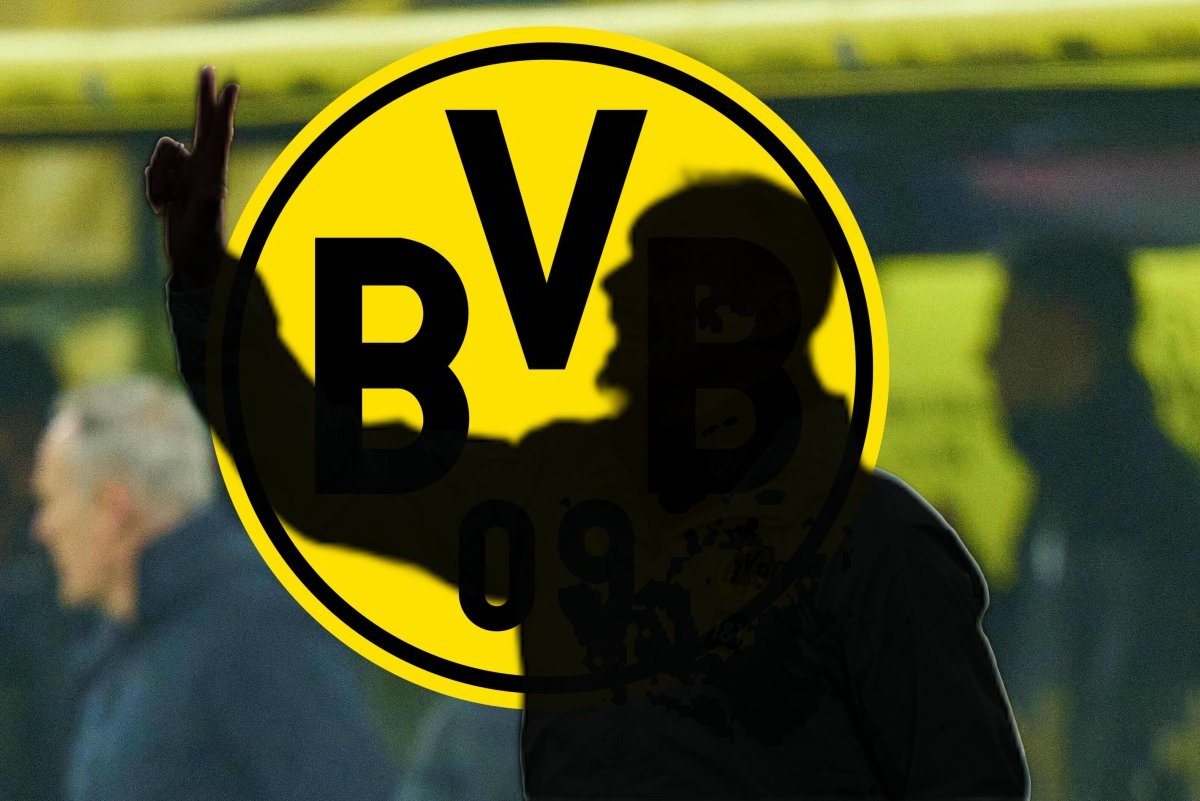 Borussia Dortmund Zickler.jpg