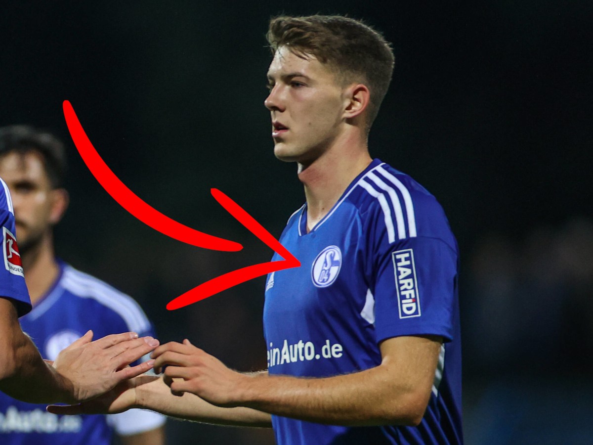Ein Pfeil zeigt auf das Trikot des FC Schalke 04.