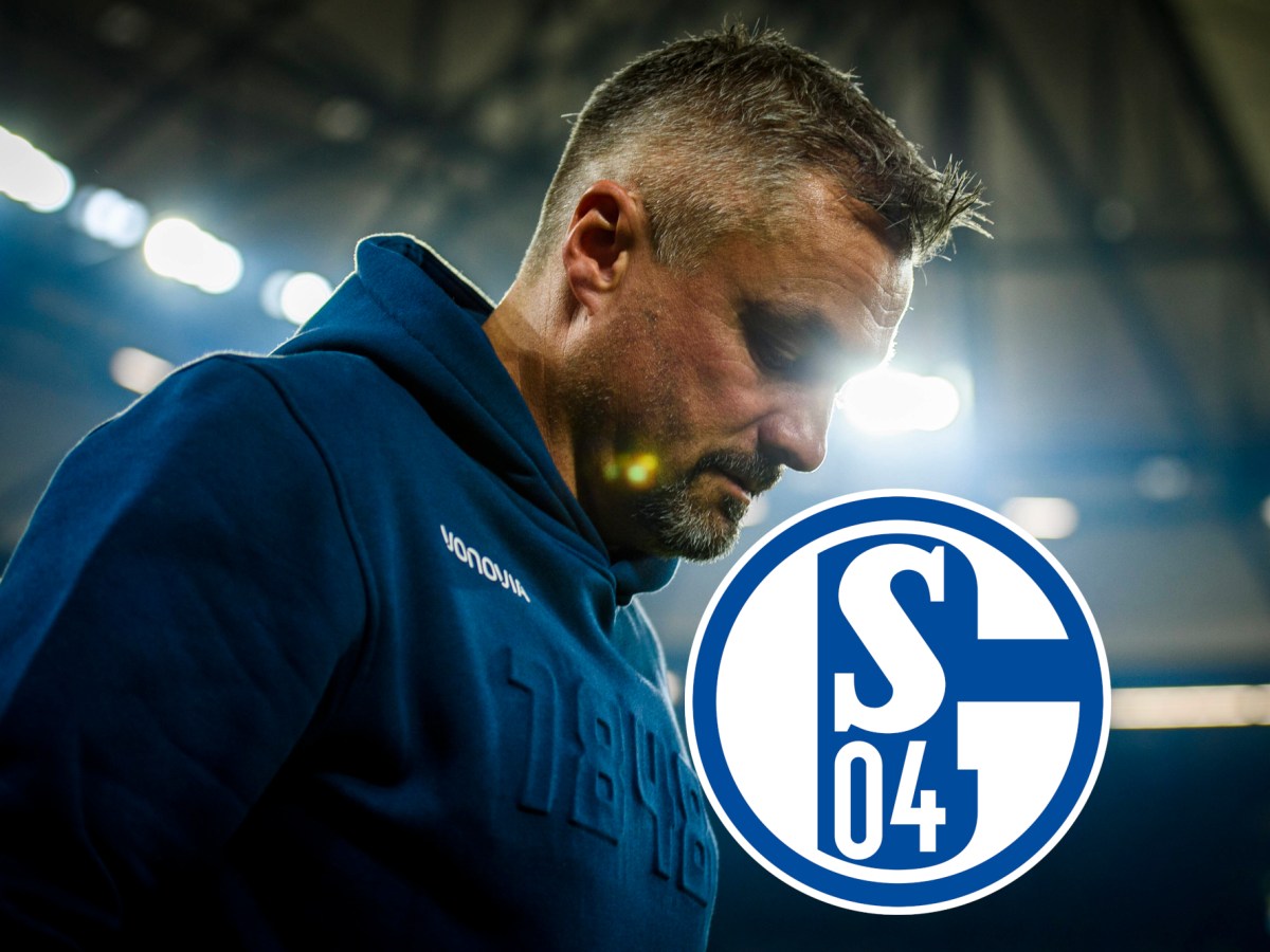 Niederlage auf Schalke: Bochum-Trainer Thomas Reis schaut bedrückt zu Boden.
