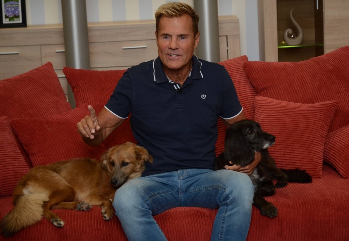 Dieter-Bohlen.jpg