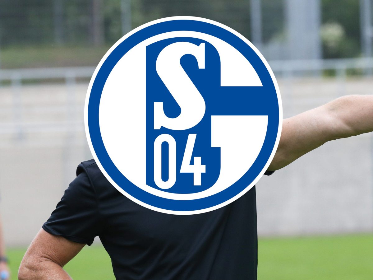 FC Schalke 04 Norbert Elgert