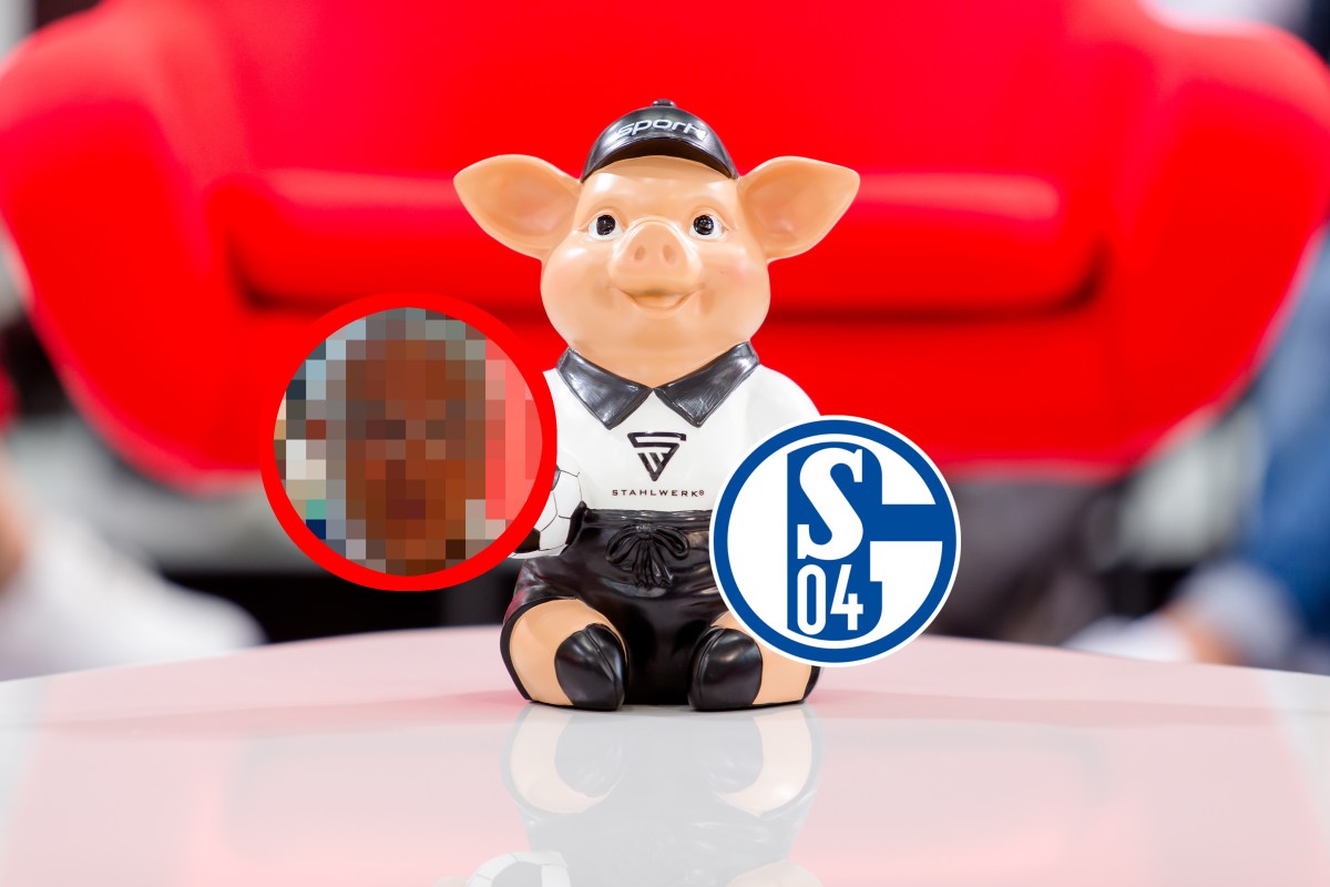 Schalke Doppelpass