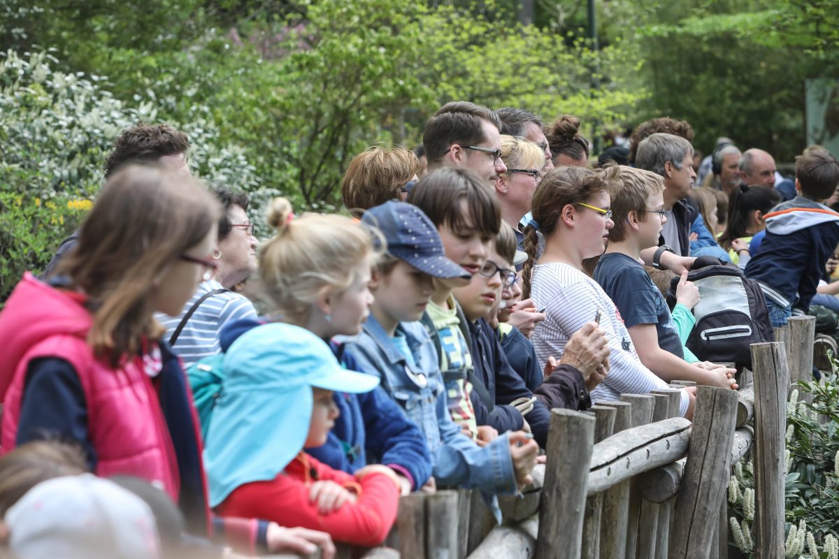 Zoo Dortmund Besucher
