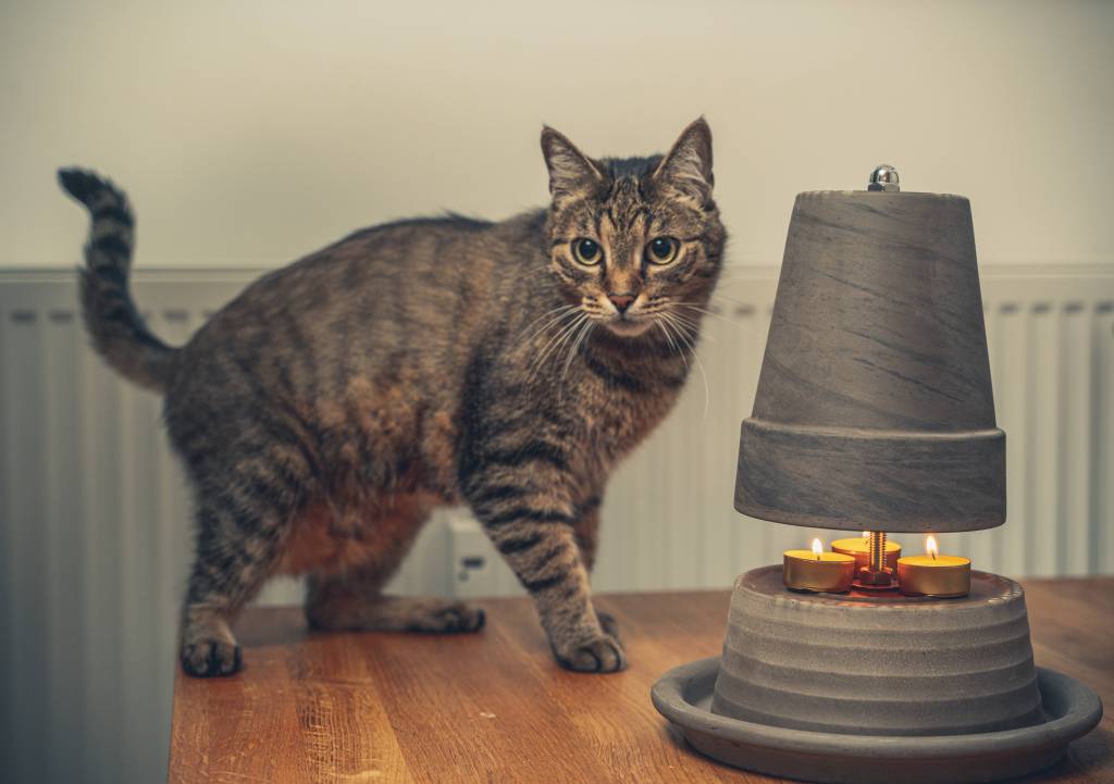 NRW Katze Teelichtofen