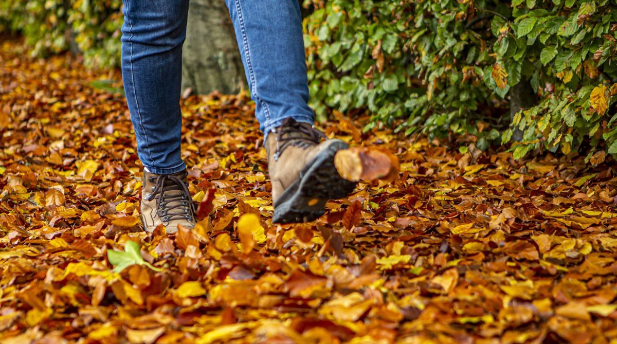 Frau läuft über Herbstlaub