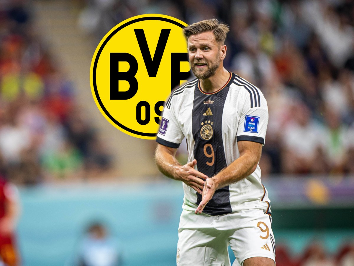 Borussia Dortmund Füllkrug