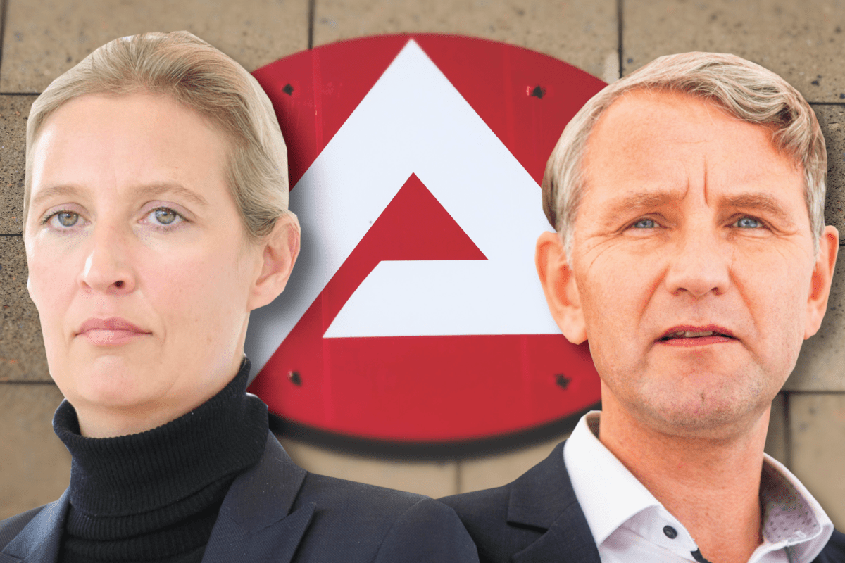 Die AfD ist gegen das Bürgergeld