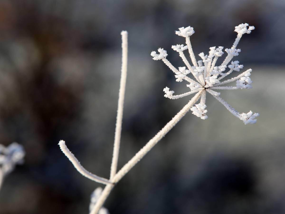 Wetter in NRW