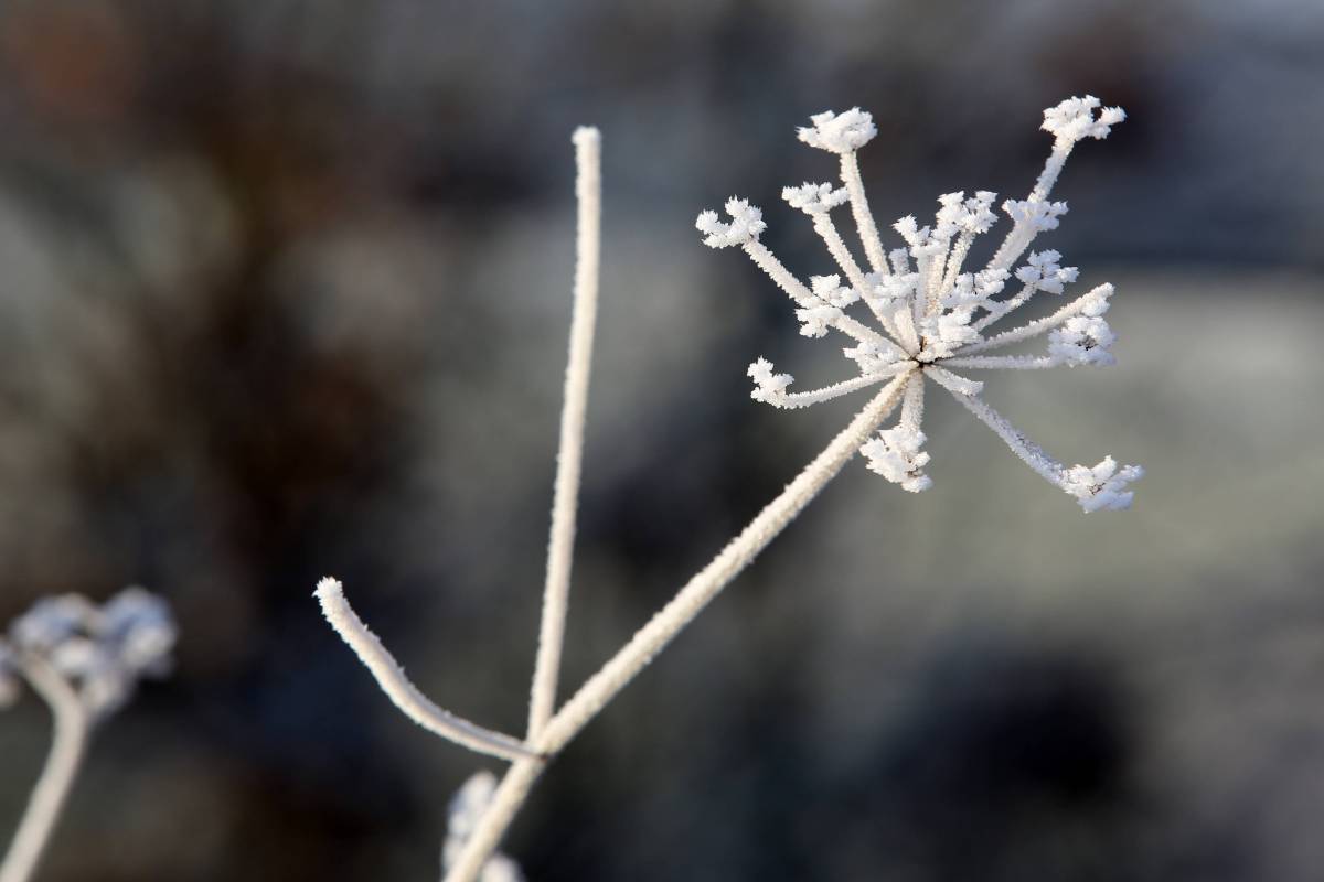 Wetter in NRW