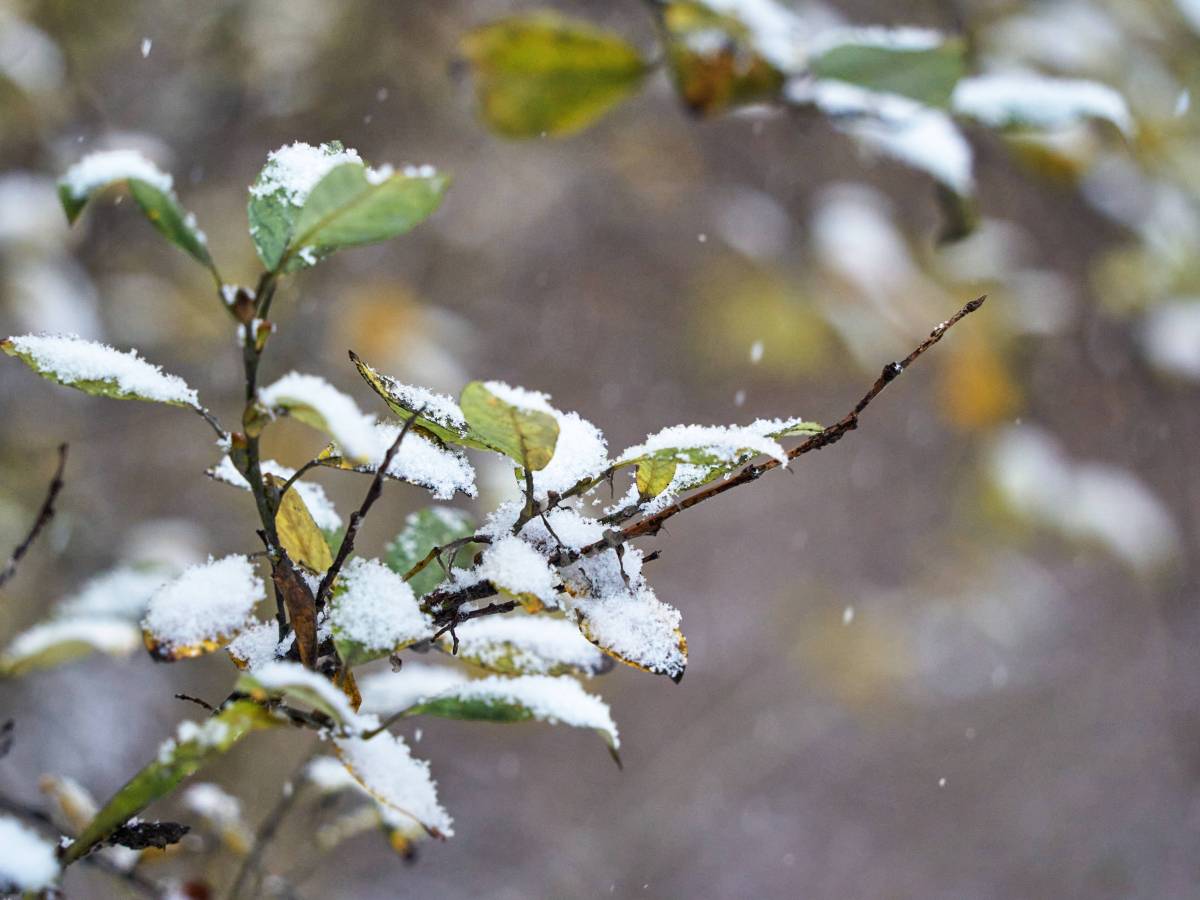 Wetter in NRW