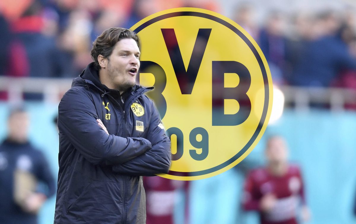 Bei Borussia Dortmund hat Edin Terzic einiges an Arbeit vor sich.