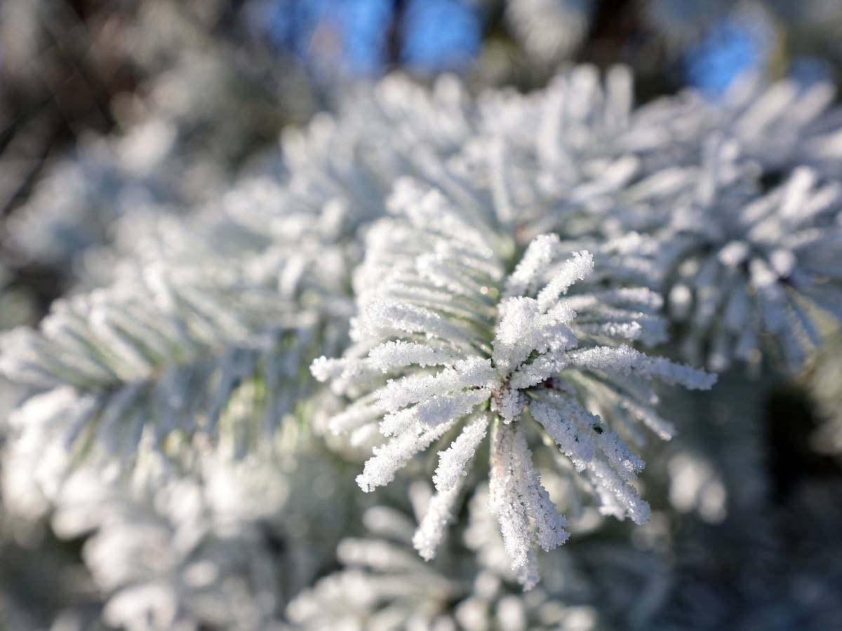 Wetter in NRW: die Wetterlage soll sich in der nächsten Woche massiv verändern!