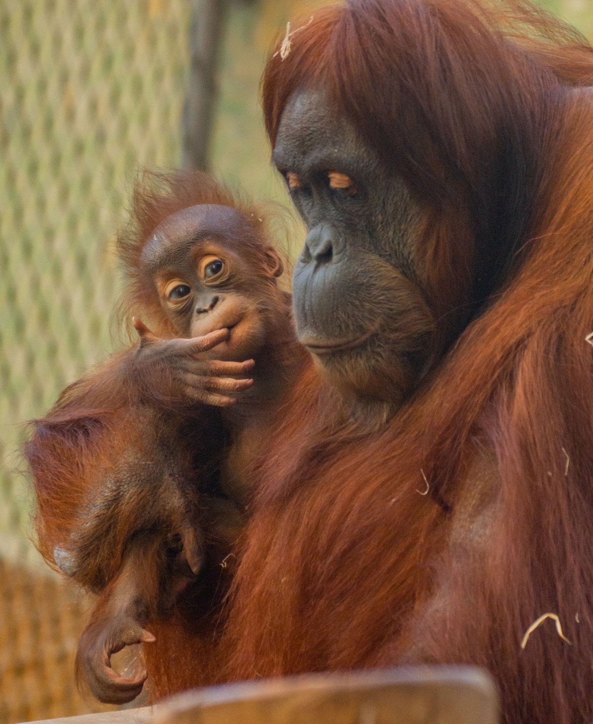 Zoo Dortmund