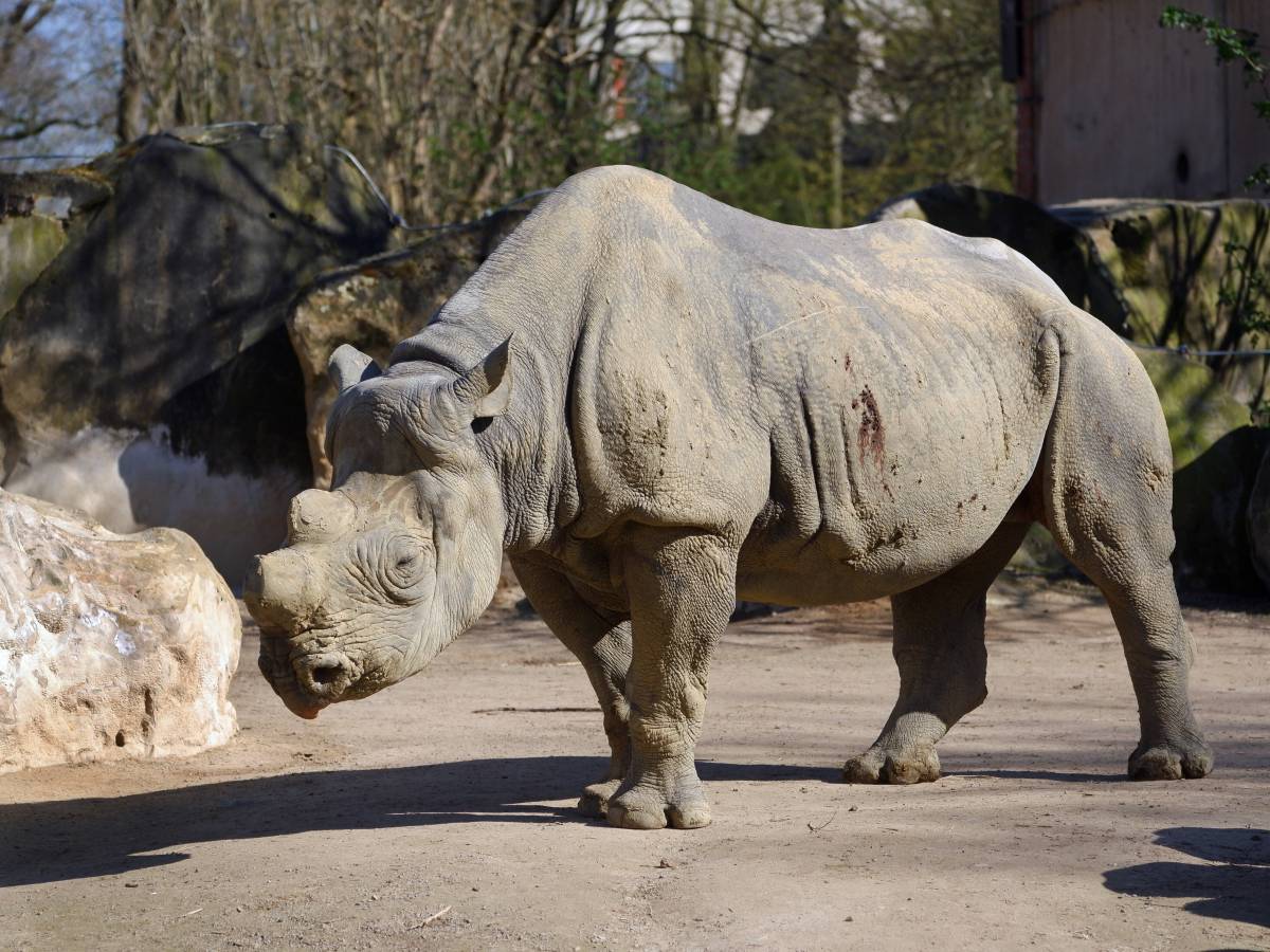 Zoo Krefeld