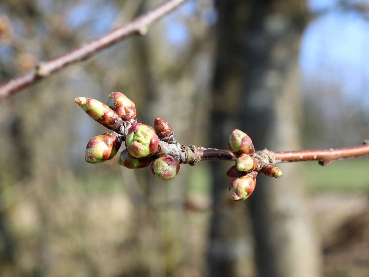 Wetter NRW