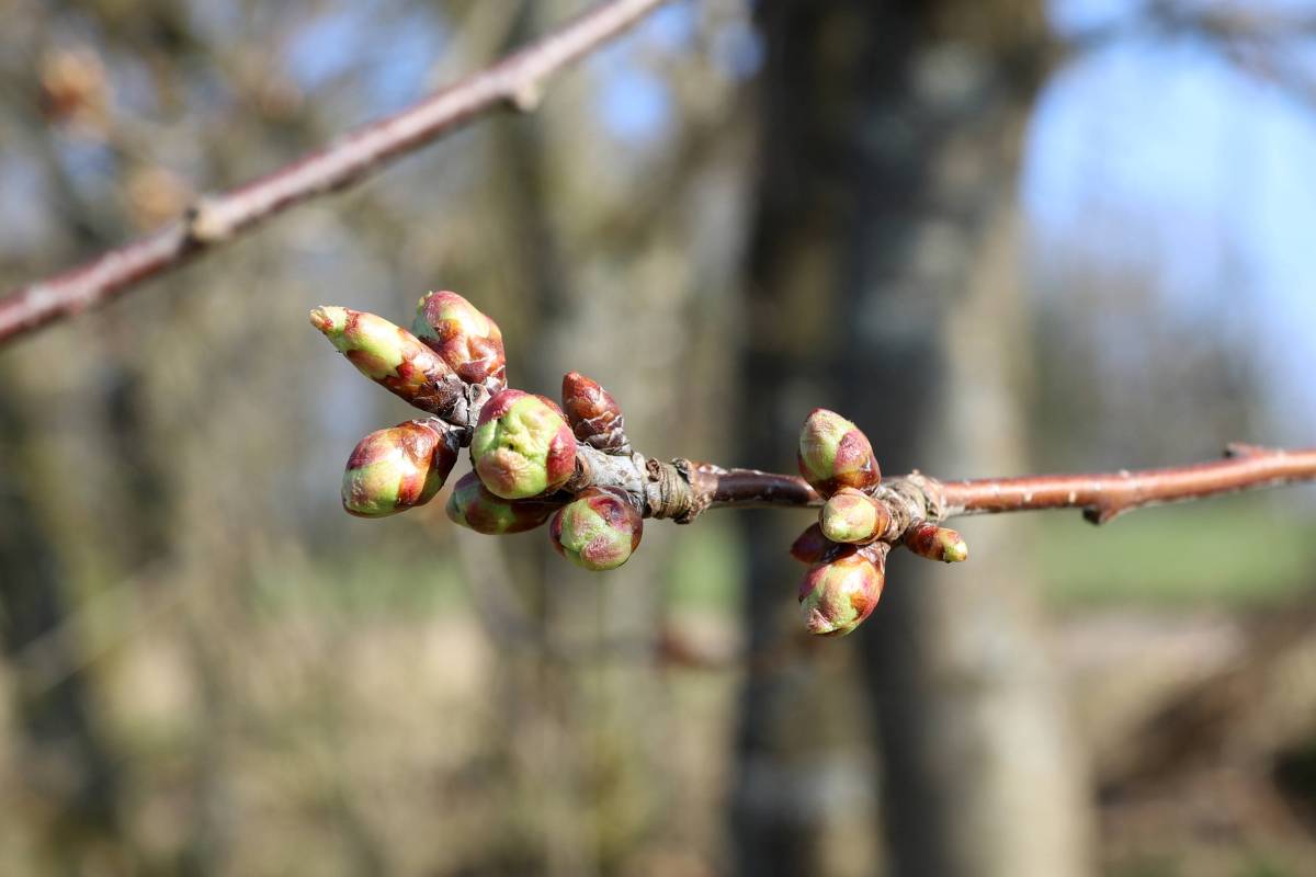 Wetter NRW