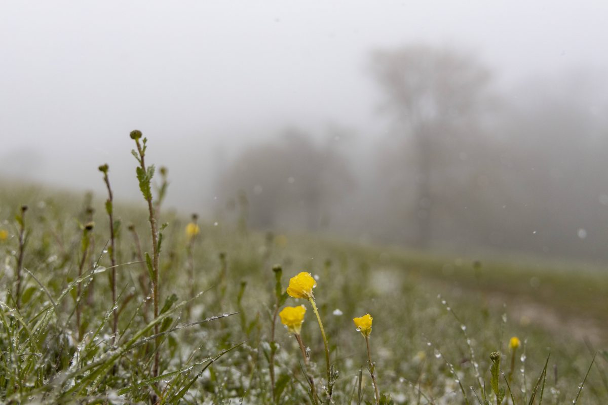 Wetter in NRW: Experten warnen vor Wetterphänomen.