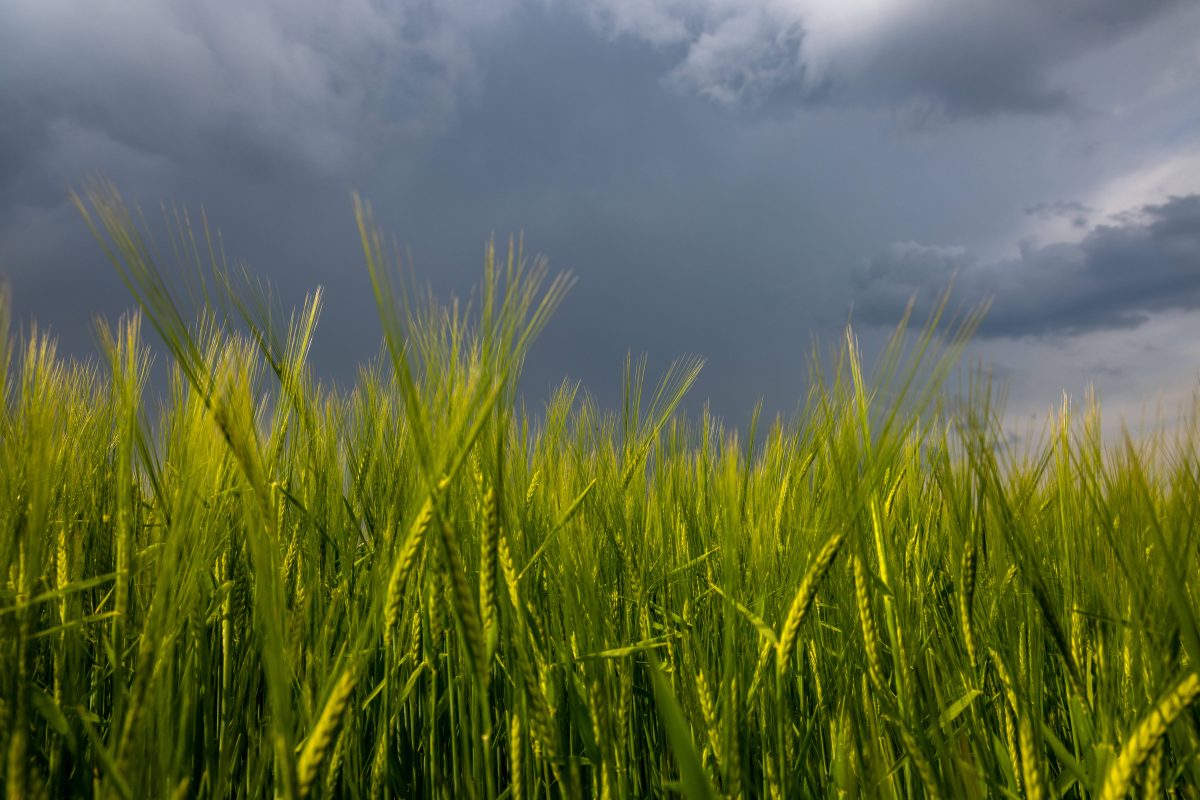 Wetter in NRW, wieso, grauer wolkenverhangener Himmel