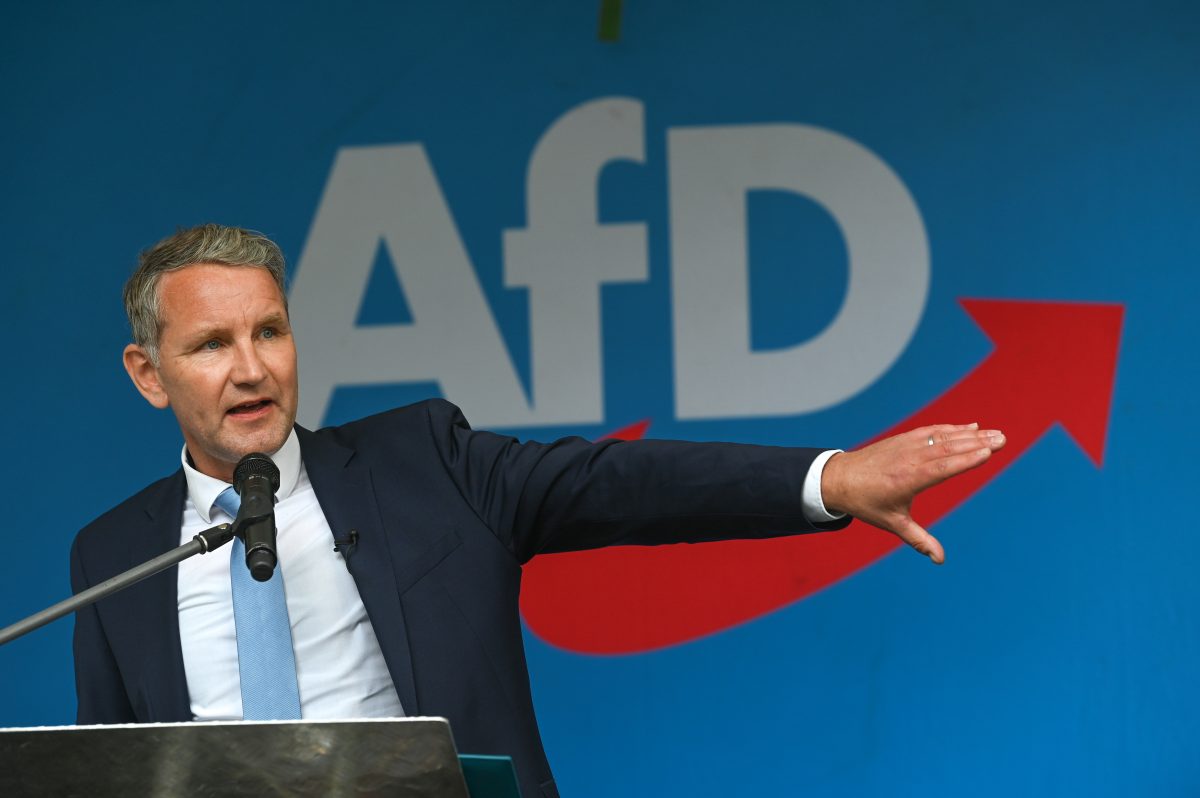 afd höcke