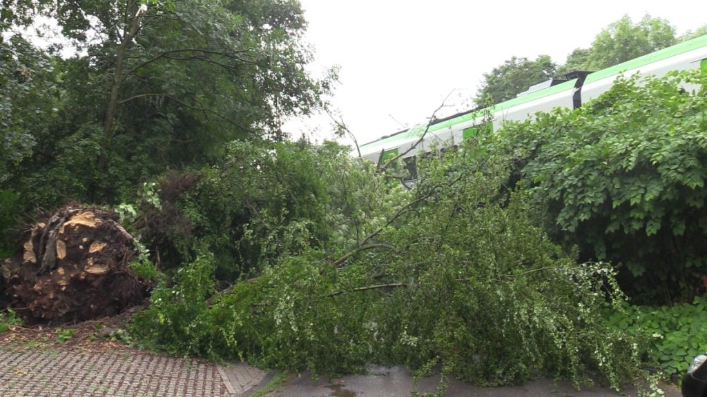 essen unwetter baum s-bahn