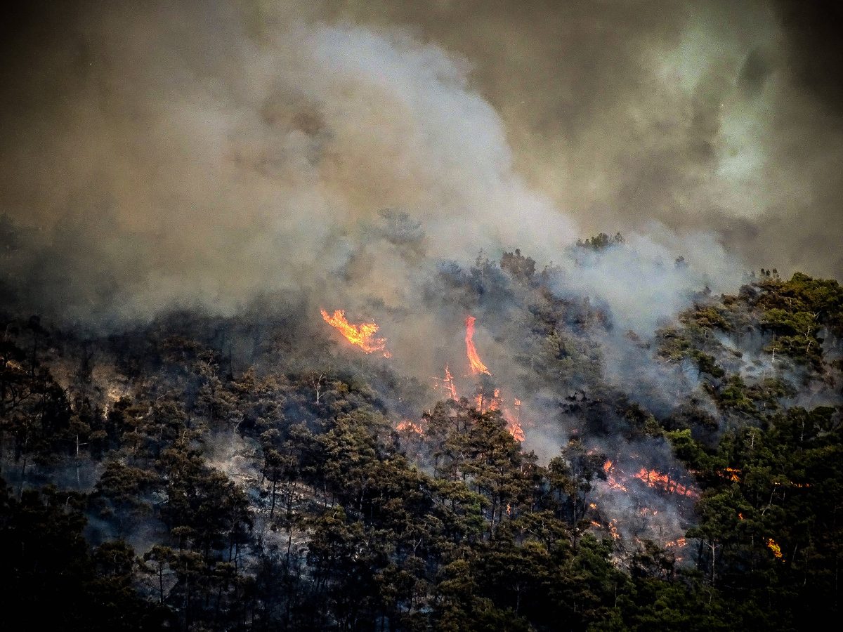 Die Brände auf der beliebten griechischen Ferieninsel Rhodos wüten weiter. Ein Ende ist noch nicht in Sicht. Der erste Reiseveranstalter zieht Konsequenzen.
