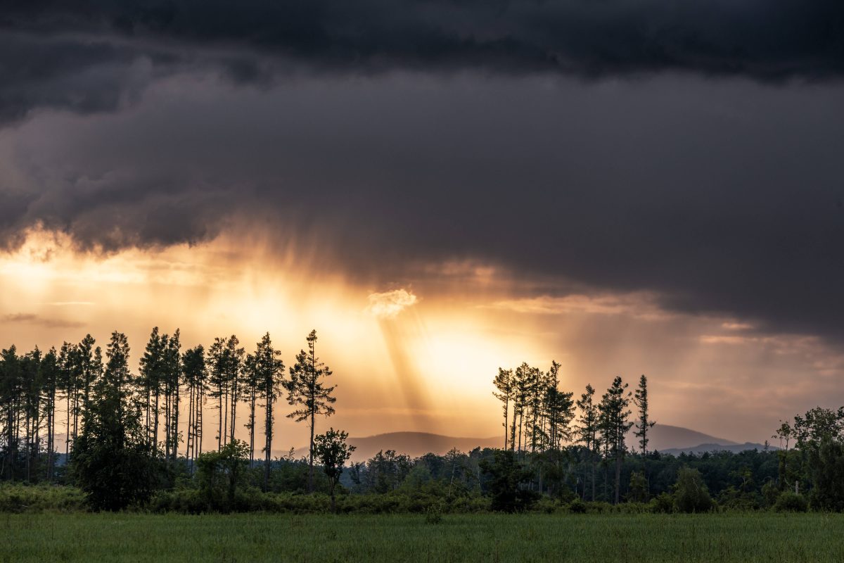 Wetter in NRW: Meteorologe sagt vorläufiges Ende vom diesjährigen Sommer voraus. In den nächsten Tagen Regen.