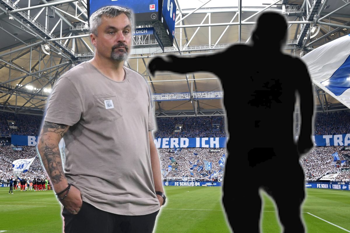 Setzt Thomas Reis beim FC Schalke 04 auf IHN?