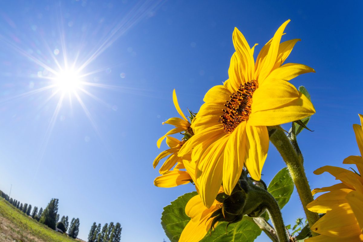 Wetter in NRW: Der Meteorologe Dominik Jung erwartet einen heftigen Wetterumschwung. Der Sommer soll zurückkehren.