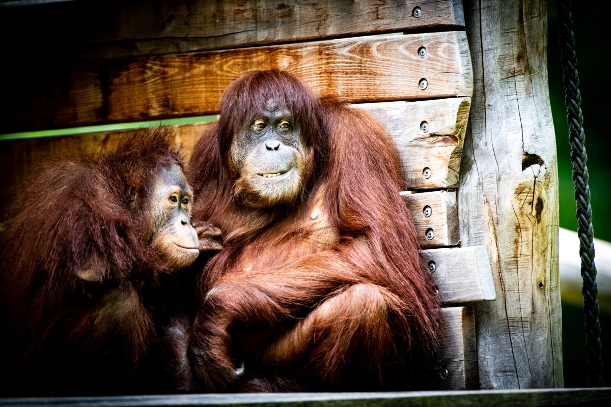 Zoo Dortmund