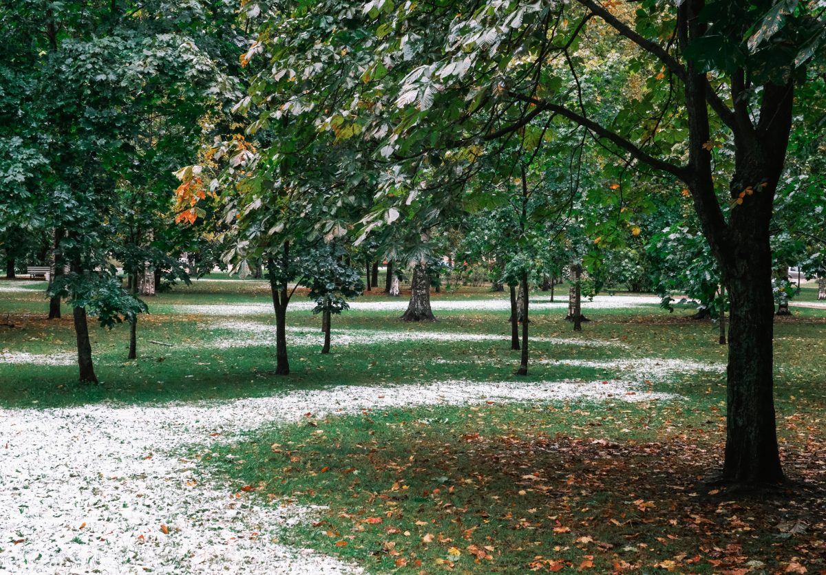 Wetter in NRW: Experte rechnet mit ersten Flocken