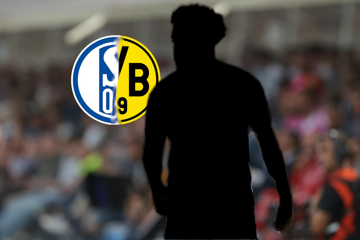 Schalke BVB Mckennie